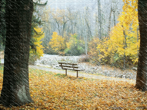 fall autumn leaf leaves landscape paysage - GIF animé gratuit