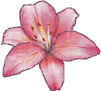 Flower Pink Gif - Bogusia - Ilmainen animoitu GIF