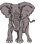 éléphant 1 - Zdarma animovaný GIF