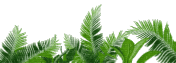 Зеленые веточки - Darmowy animowany GIF