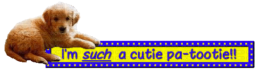 Cutie Patootie - GIF animate gratis