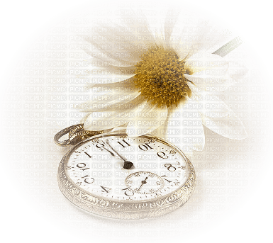 clock anastasia - PNG gratuit