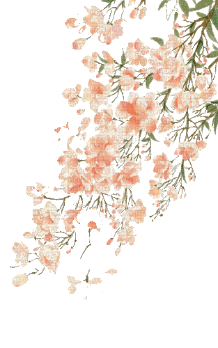flowers milla1959 - Free animated GIF
