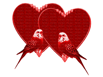corazones - PNG gratuit