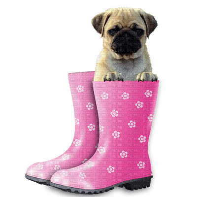 Kaz_Creations Dog Pup In Boots - PNG gratuit