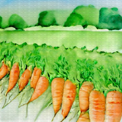 Carrots in a Field - png ฟรี