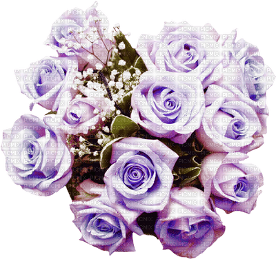 rose violette.Cheyenne63 - gratis png