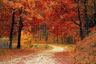 maisema landscape syksy autumn - png grátis