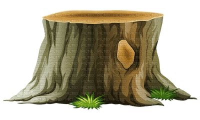 Tree stump - zdarma png