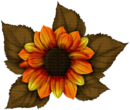 Flor de otoño - PNG gratuit