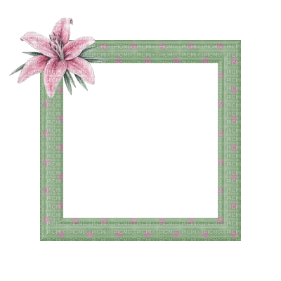 Small Green Frame - безплатен png