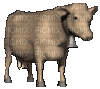 aze vache marron Brown - Безплатен анимиран GIF