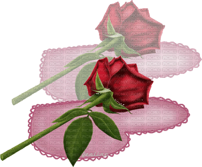 Rózsa - 無料のアニメーション GIF