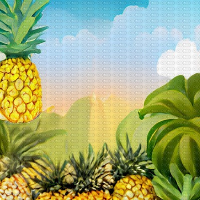 Pineapple Place - безплатен png