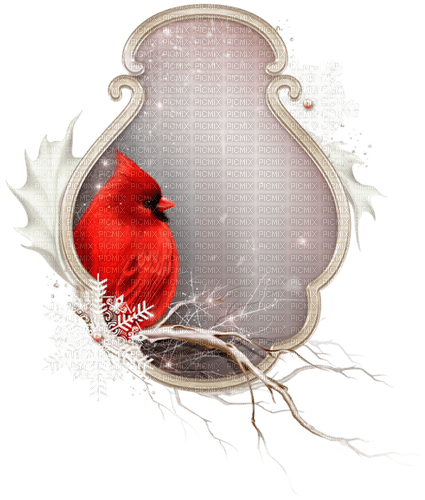 bg-background-bird--fågel - darmowe png