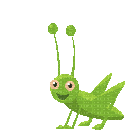 beetle - 無料のアニメーション GIF