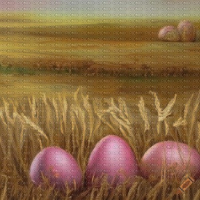 Wheat Field with Pink Eggs - bezmaksas png