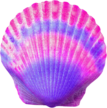 Seashell.Pink.Purple - безплатен png