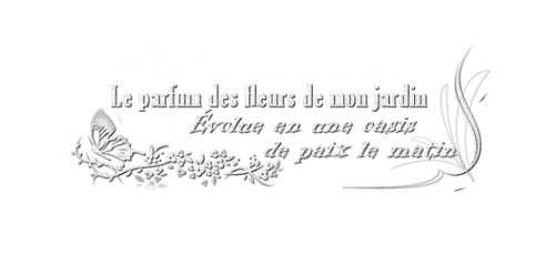loly33 texte - Free PNG