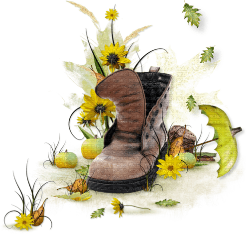Chaussure .Miriella - PNG gratuit