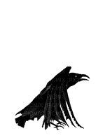 cuervo - GIF animate gratis