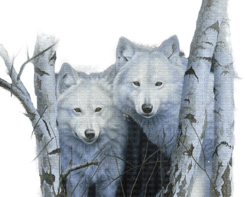 Wolfs.Loups.Lobos.White.Victoriabea - Free PNG