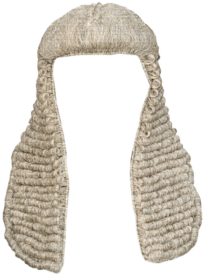 Kaz_Creations Courtroom Judge Wig - png gratis