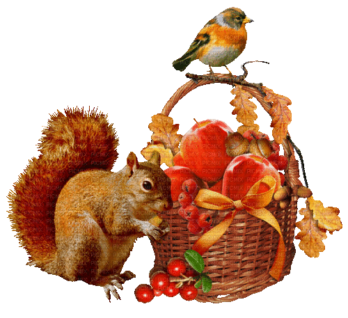 Herbst, Eichhörnchen, Vogel, Obstkorb - GIF animate gratis