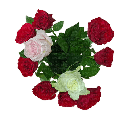 kukka flower fleur, ruusu, rose - nemokama png