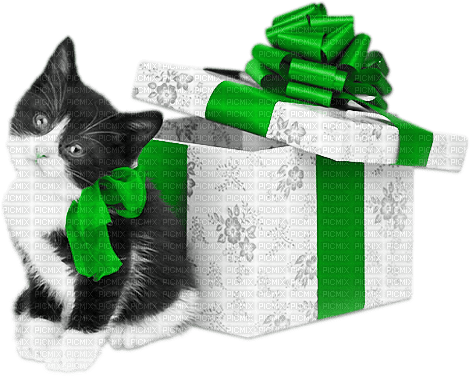 soave animals cat christmas winter gift box - бесплатно png