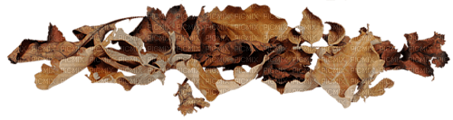 Autumn.Floor.Leaves.Automne.Victoriabea - Free PNG