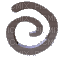 chrome swirl - Darmowy animowany GIF