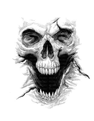 skull face - Nemokamas animacinis gif