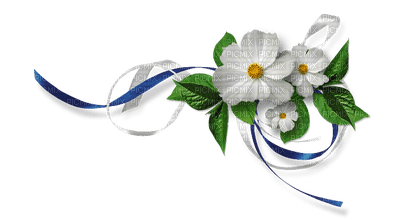 minou-flower-white - ücretsiz png