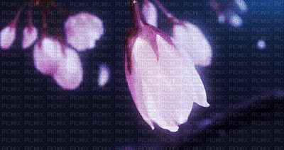 peach tree laurachan - 無料のアニメーション GIF