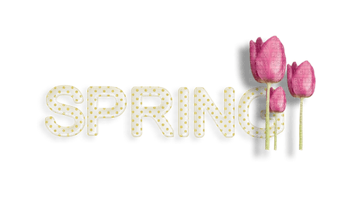 Spring.Text.Tulipes.Fleurs.Pink.Victoriabea - Free PNG