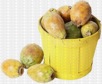 fruit - 免费PNG