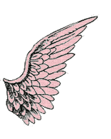 Wings.Pink.Ailes.Alas.gif.Victoriabea - Ilmainen animoitu GIF