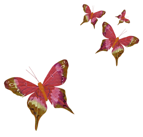 papillon - ilmainen png
