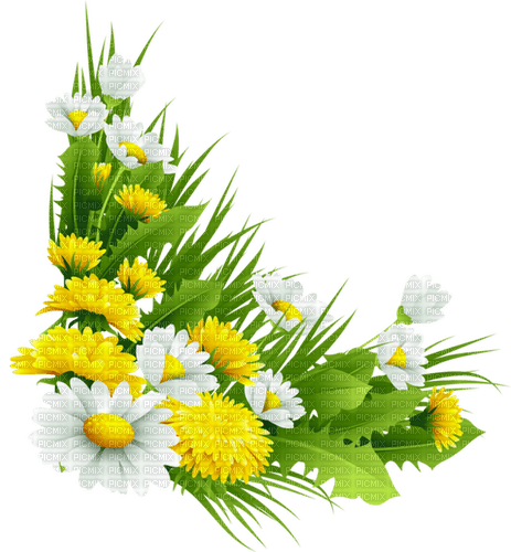 fleurs - δωρεάν png