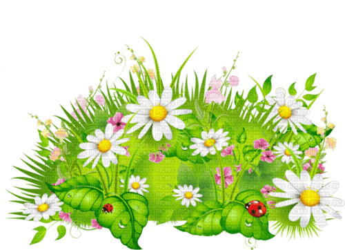 Y.A.M._Summer Flowers Decor - 無料png