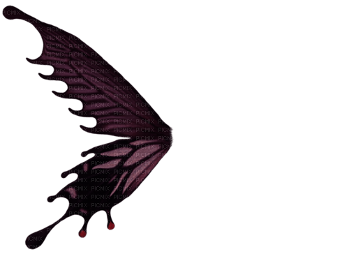 deco fantasy wings png tube kikkapink - PNG gratuit