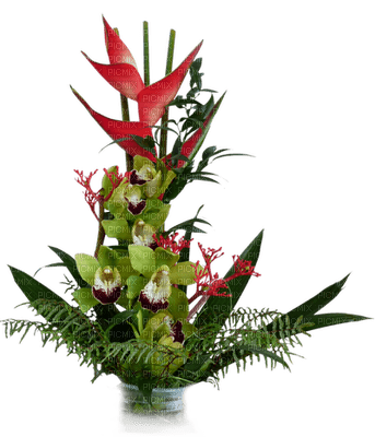 Kaz_Creations Deco Flowers Flower  Colours Plant - zadarmo png