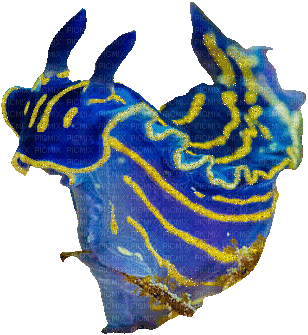 blue sea slug - Ingyenes animált GIF