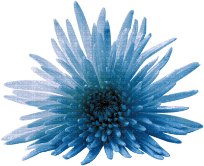 Kaz_Creations  Deco Baby Blue Flower - PNG gratuit