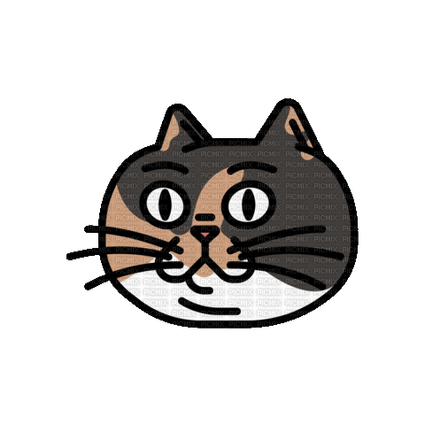 Cat Reaction - Бесплатный анимированный гифка