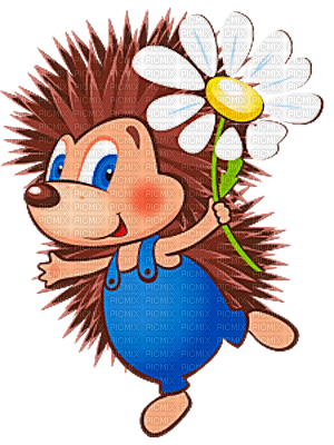 Y.A.M._Summer Images for comments hedgehog - zadarmo png