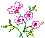 fleurs - Zdarma animovaný GIF
