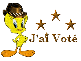 j'ai voté - Бесплатный анимированный гифка