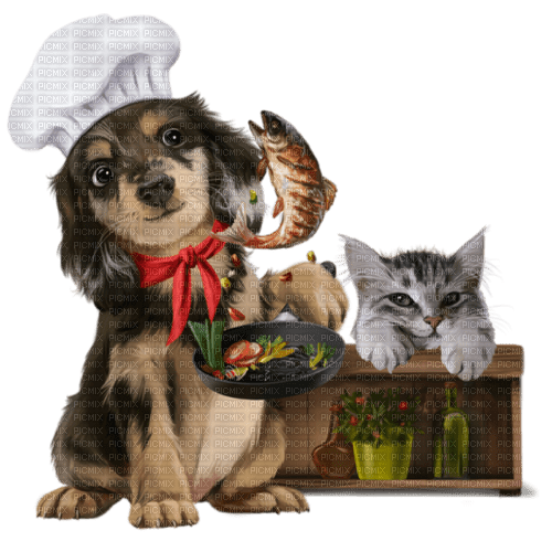 dog chef deco png cat kikkapink - безплатен png